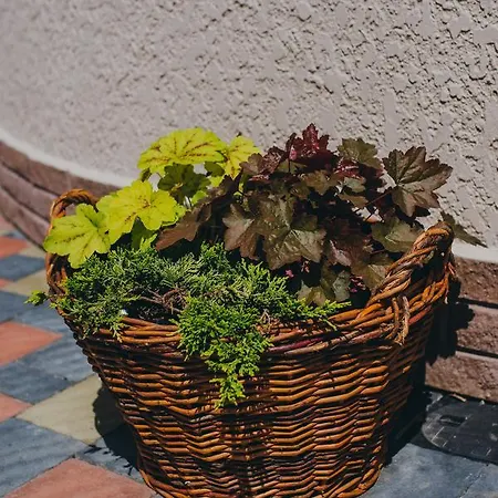 Appartement стильная уютная апарт-студия Silena *